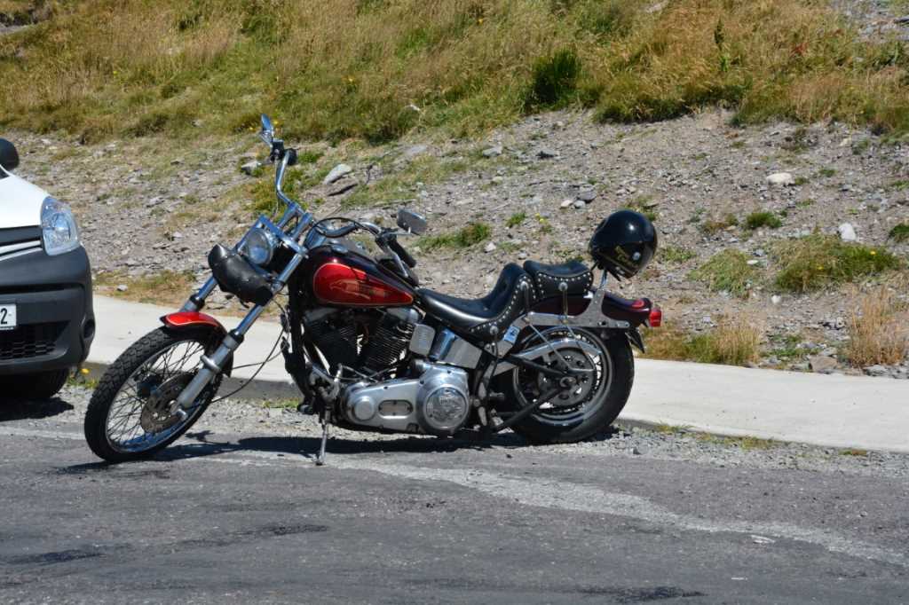 DSC_4912Mittel_.JPG
